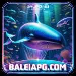 baleiapg Official v4.8.4