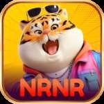 nrnr Prime APK v4.2.9