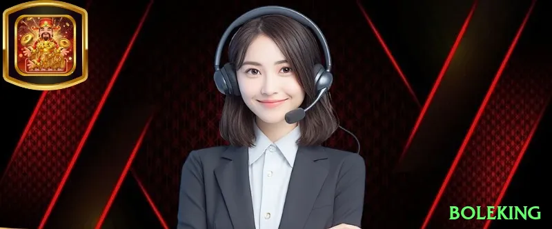 boleking BR VIP Screenshot 2